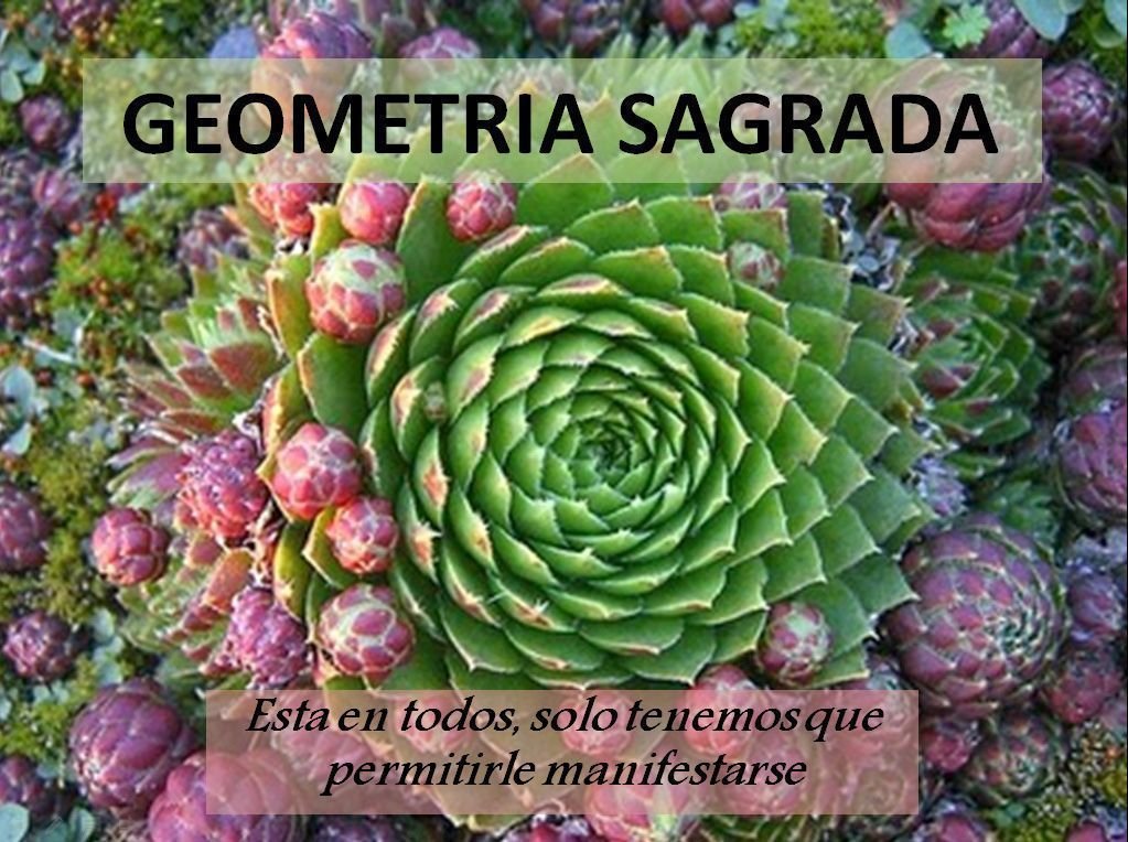 Qué Es La Geometría Sagrada 