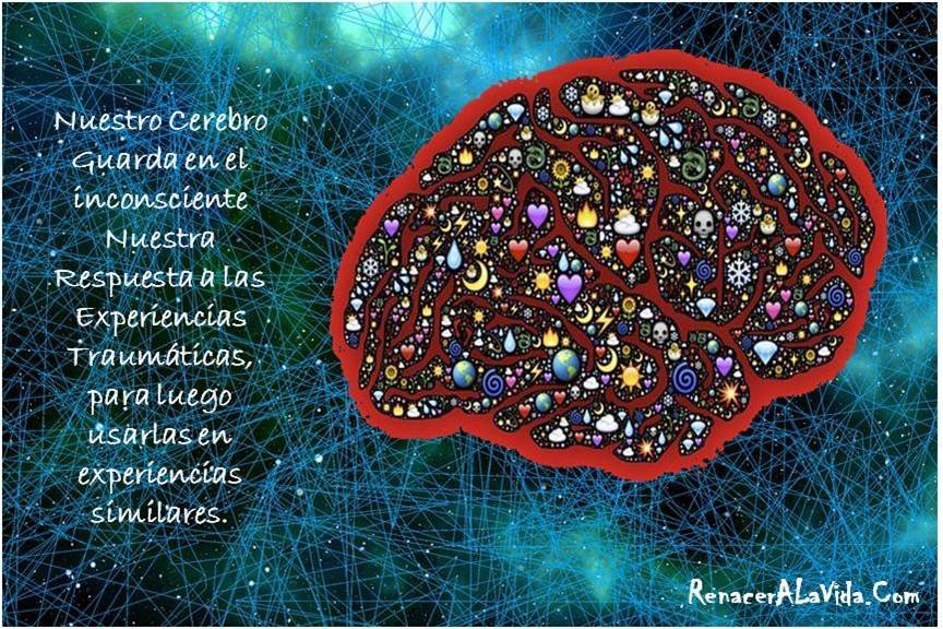 Aplica La Programación Neurolingüística Básica (PNL) A Tu Vida Y Empieza A Ver Los Milagros!