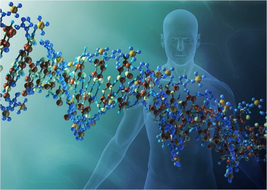 Recodificando adn para alcanzar máximo potencial