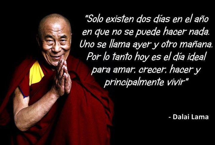 dalai lama lecciones